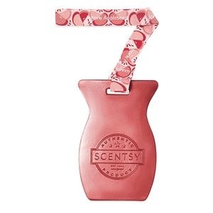 Scentsy Johnny Appleseed Car Bar